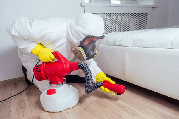 Best Affordable Pest Control Services  in Kalaheo, HI