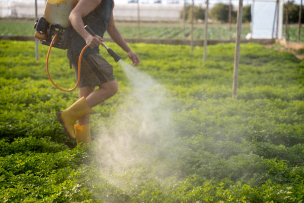 Best Exterminator Services  in Kalaheo, HI