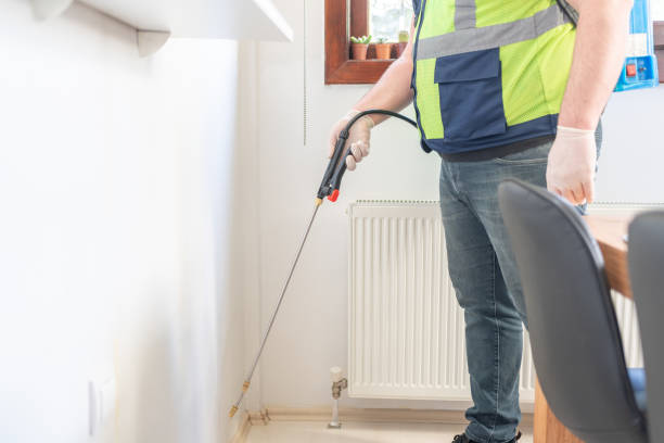 Best Pest Removal Services  in Kalaheo, HI