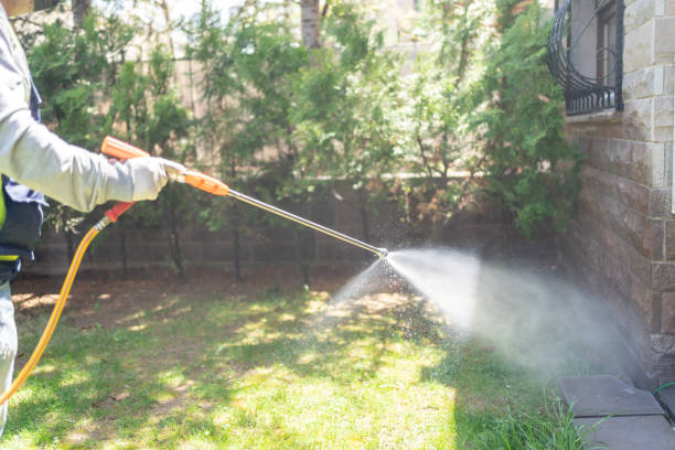 Best Pest Control Near Me  in Kalaheo, HI