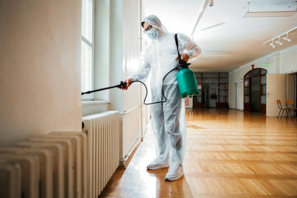Best Termite Control Services  in Kalaheo, HI
