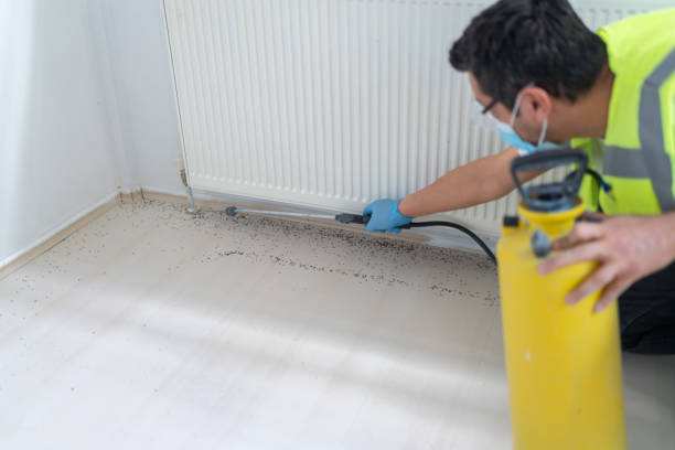 Best Bed Bug Extermination  in Kalaheo, HI
